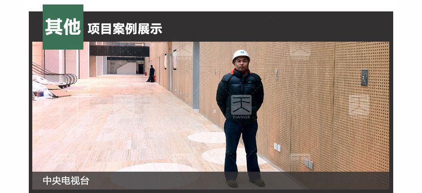 環(huán)保孔木吸音板工程案例
